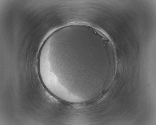 X0000080761102200701051229
