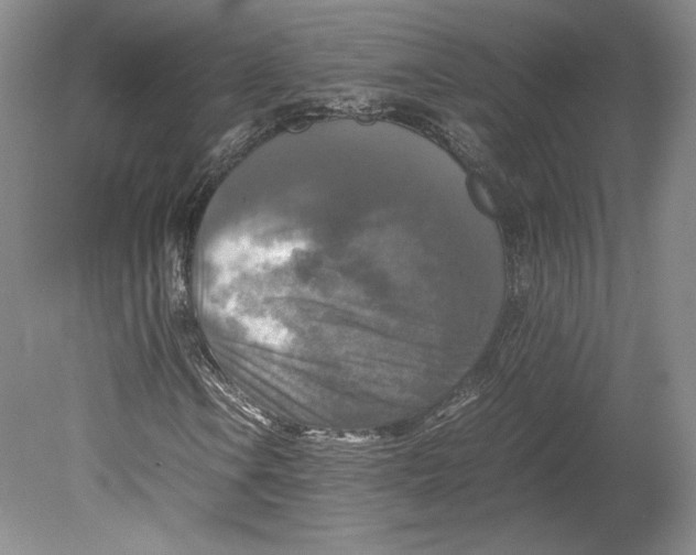 X0000080761106200701051229