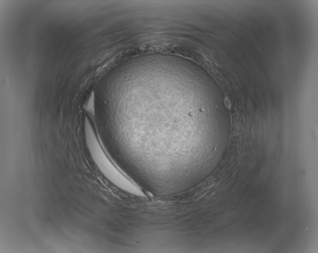 X0000080761109200701051229