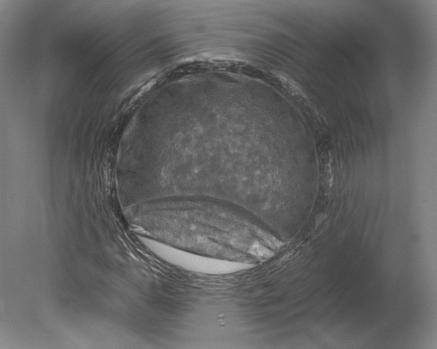 X0000080761110200701051229