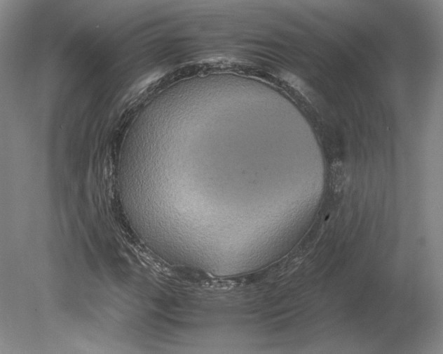 X0000080761111200701051229