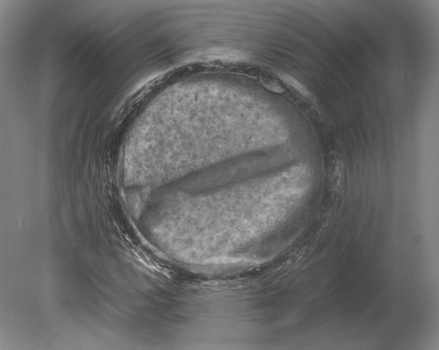 X0000080761112200701051229