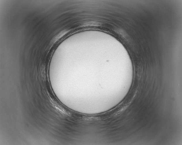 X0000080761113200701051229