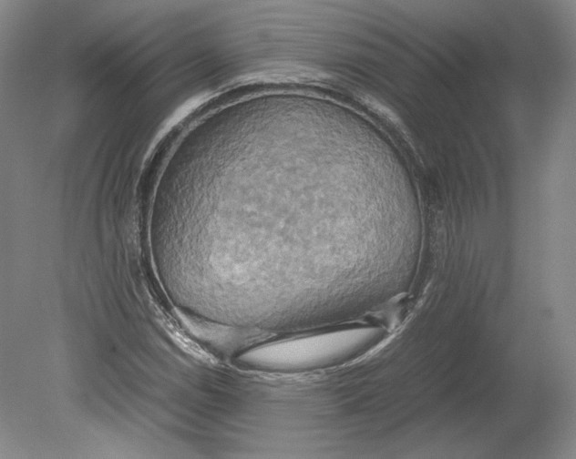 X0000080761114200701051229