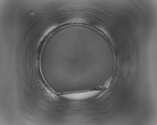 X0000080761115200701051229