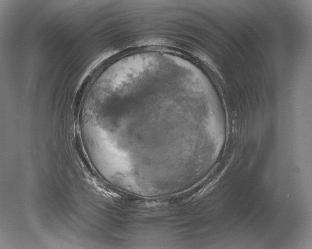 X0000080761117200701051229