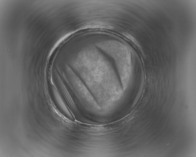 X0000080761120200701051229