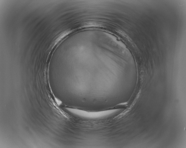 X0000080761121200701051229