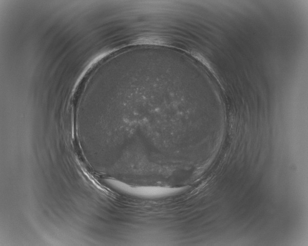 X0000080761123200701051229