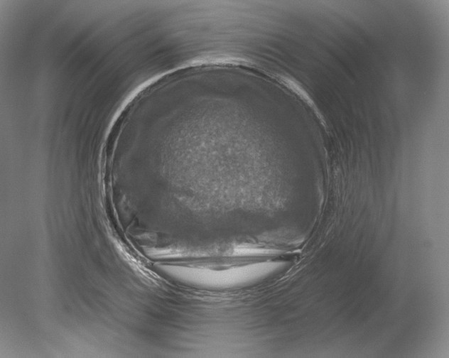 X0000080761124200701051229