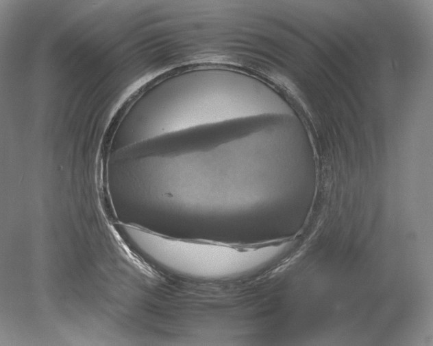 X0000080761125200701051229