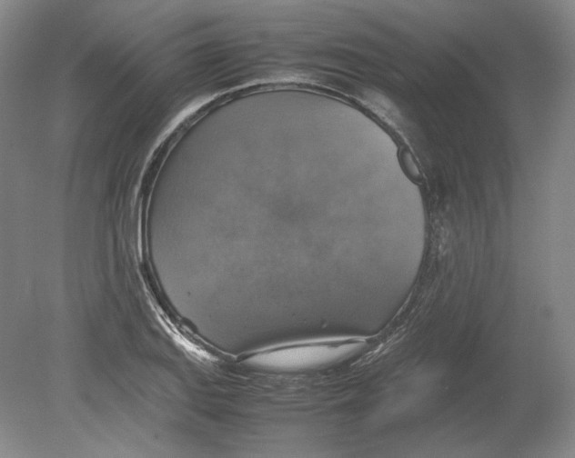 X0000080761127200701051229