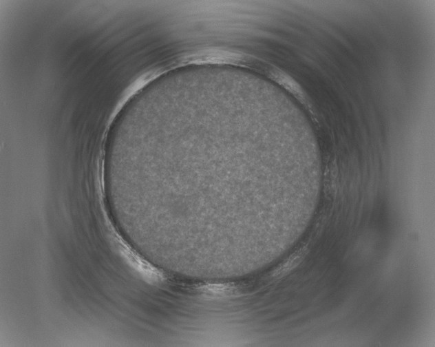 X0000080761130200701051229