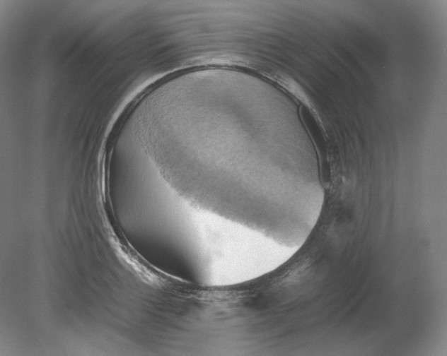 X0000080761132200701051229