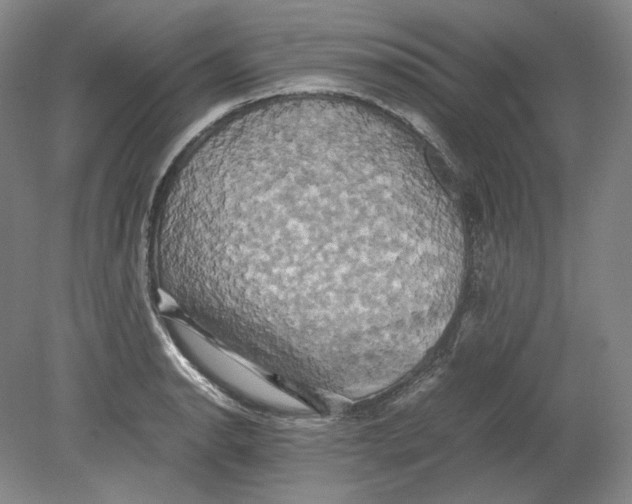 X0000080761134200701051229