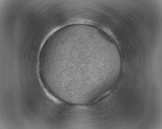 X0000080761136200701051229