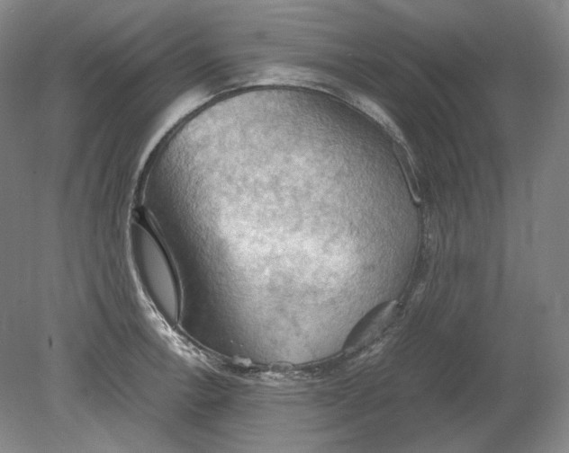 X0000080761138200701051229