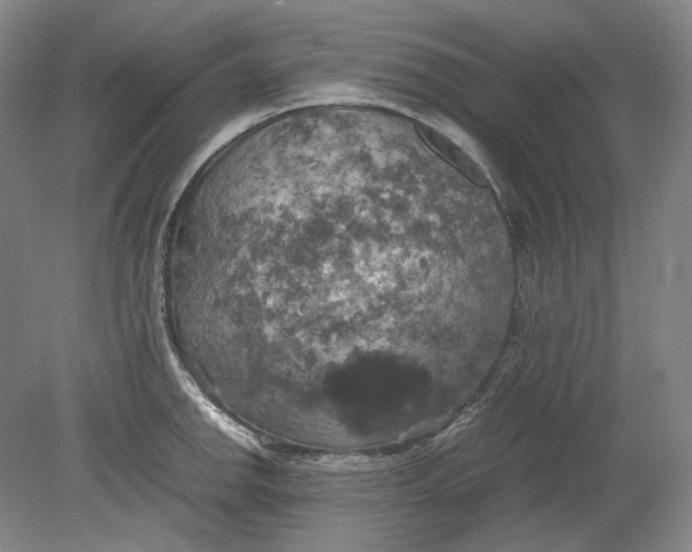 X0000080761142200701051229