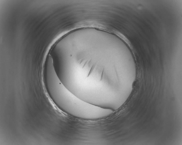 X0000080761144200701051229