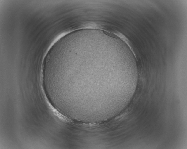 X0000080761147200701051229