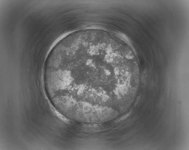 X0000080761149200701051229