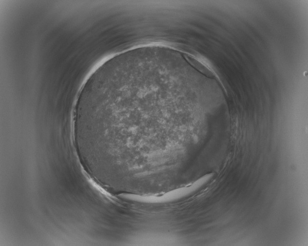 X0000080761151200701051229
