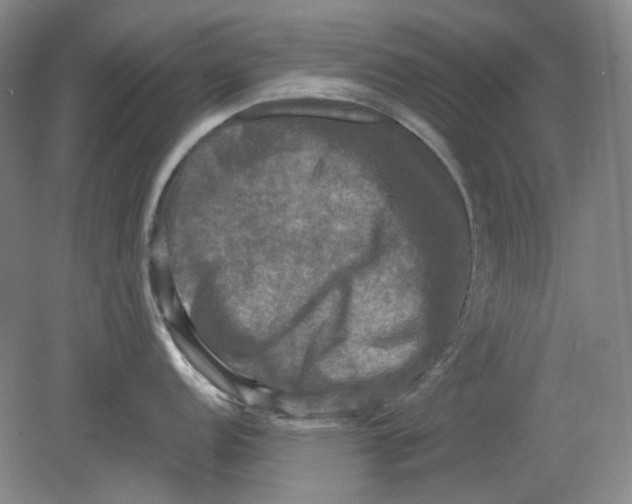 X0000080761152200701051229