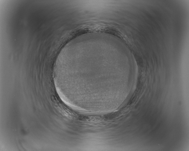 X0000080761153200701051229