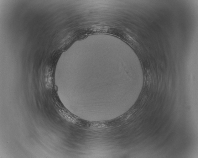 X0000080761154200701051229
