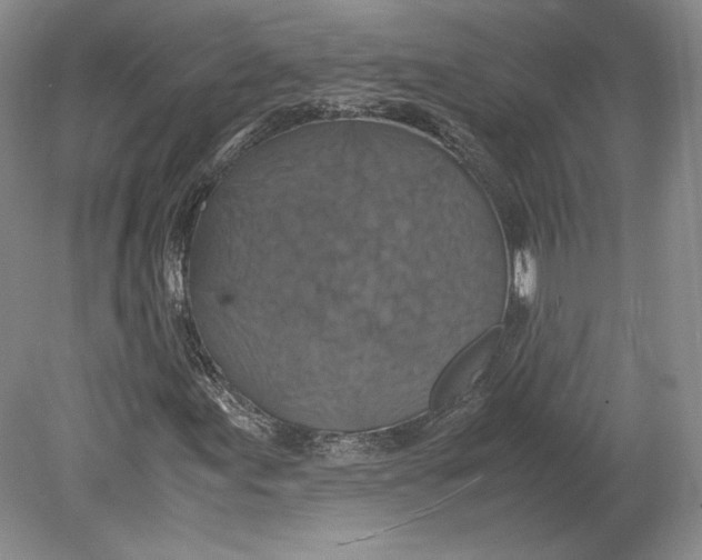 X0000080761155200701051229