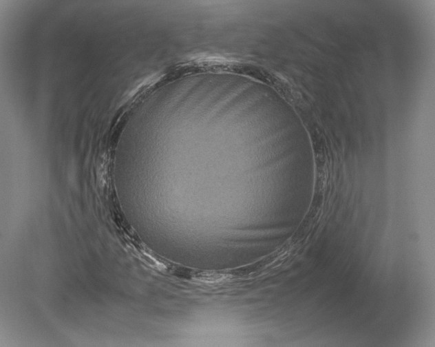 X0000080761157200701051229