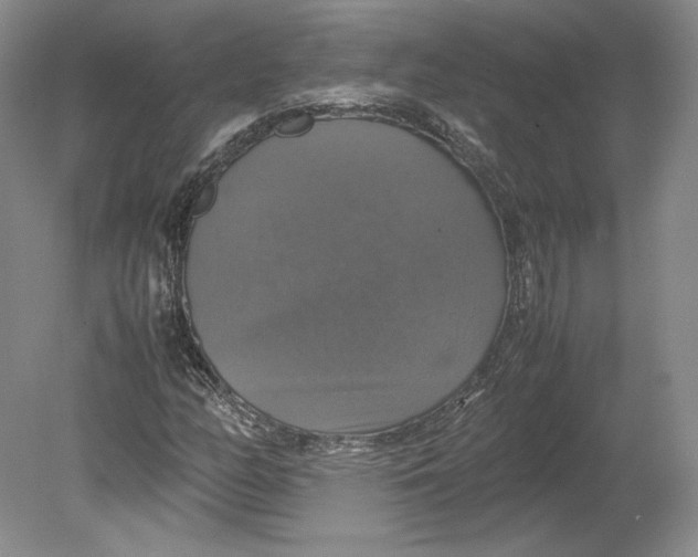 X0000080761158200701051229