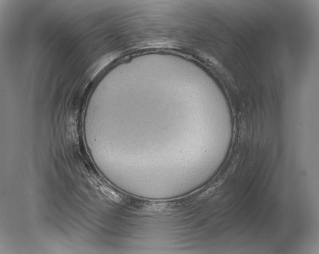 X0000080761162200701051228