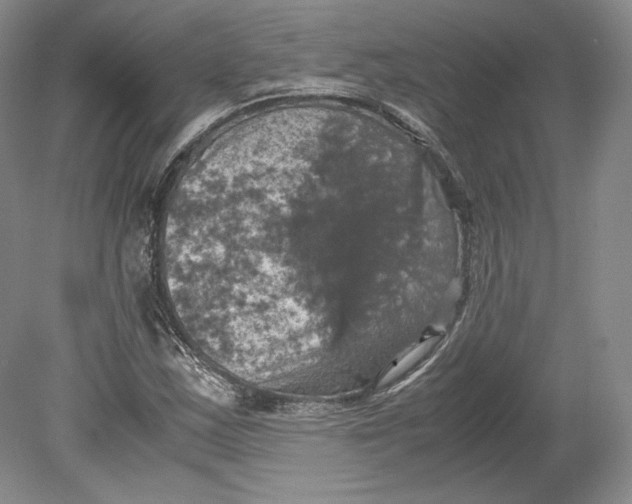 X0000080761163200701051228