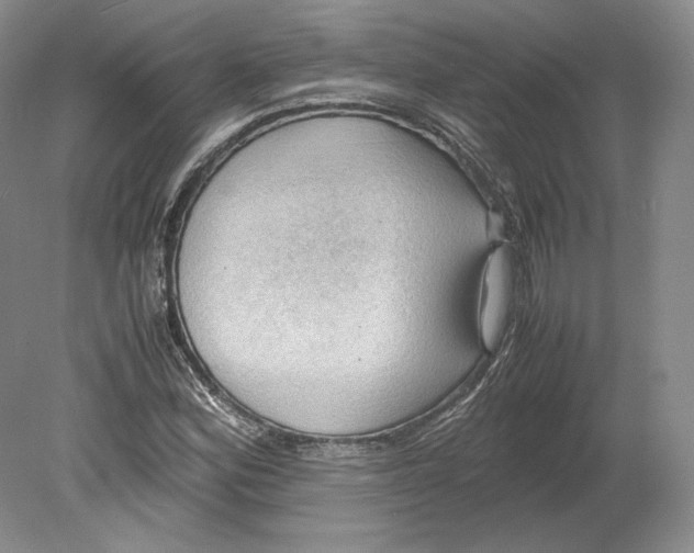 X0000080761164200701051228