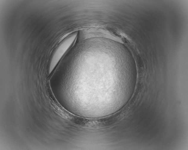 X0000080761169200701051228