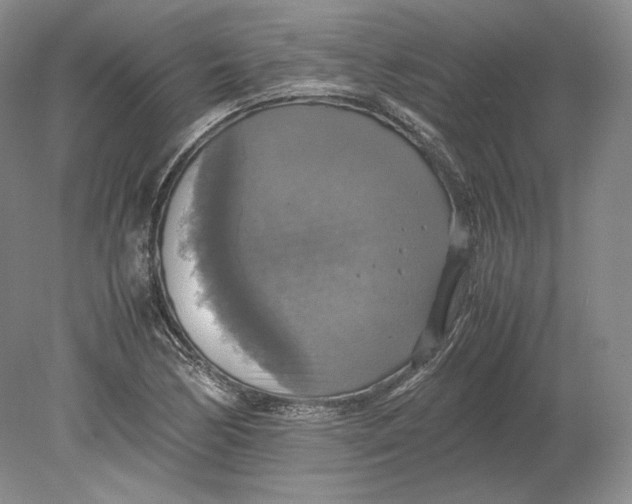 X0000080761170200701051228