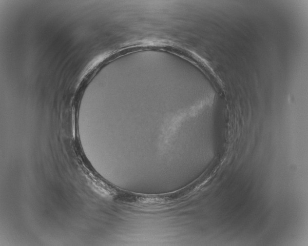 X0000080761171200701051228