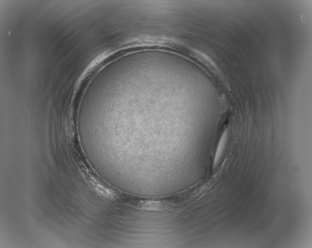 X0000080761172200701051228