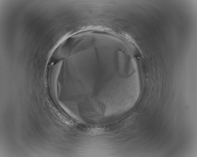 X0000080761173200701051228