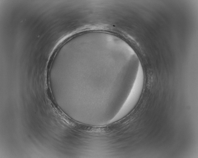 X0000080761174200701051228