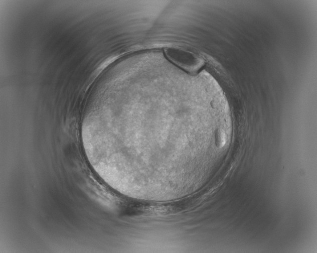 X0000080761177200701051228
