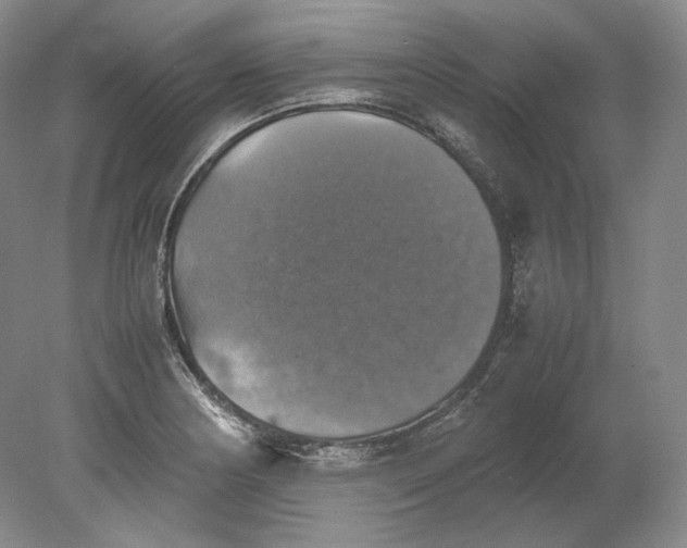 X0000080761178200701051228