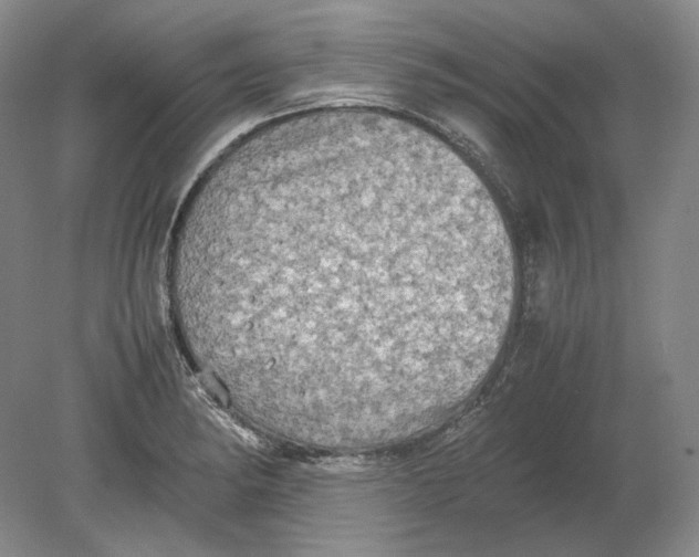 X0000080761182200701051228