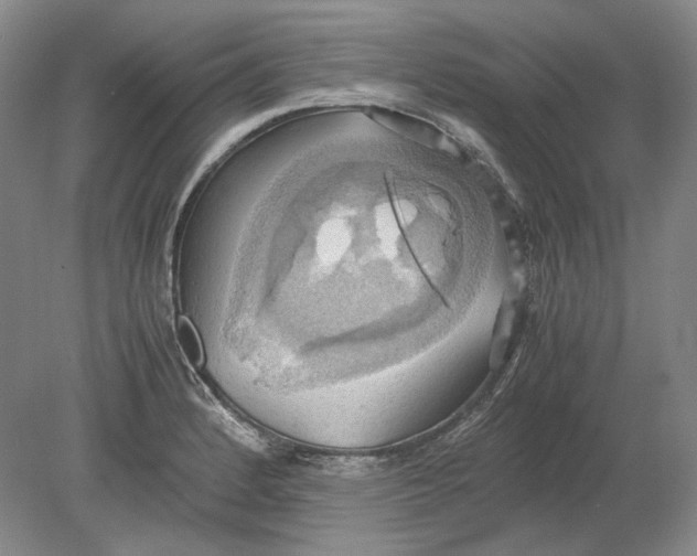 X0000080761184200701051228