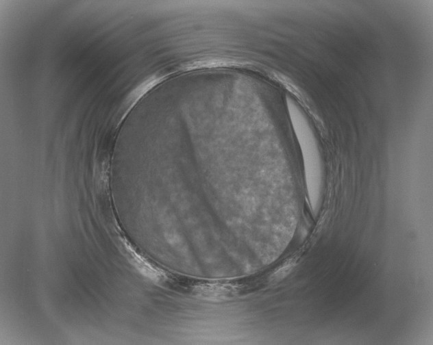X0000080761185200701051228