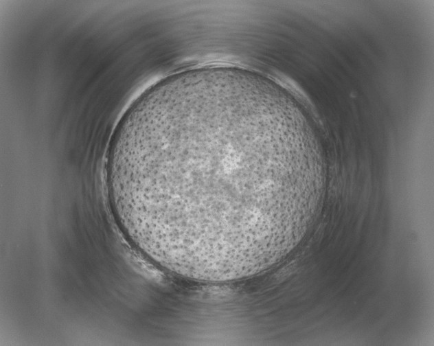 X0000080761190200701051228
