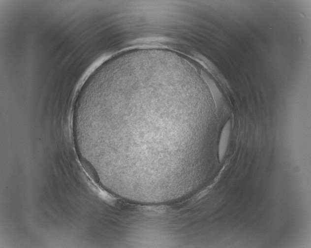 X0000080761196200701051228