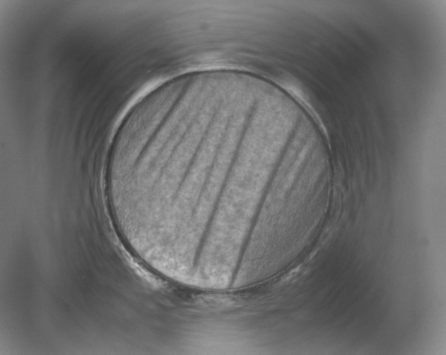 X0000080761197200701051228