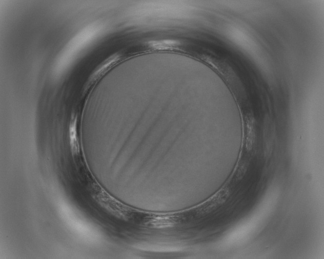 X0000080761198200701051228